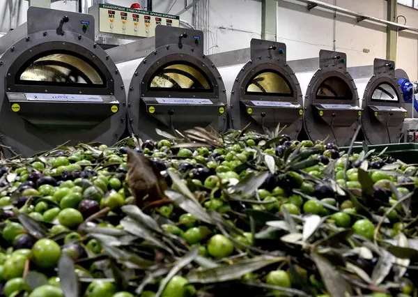 ελαιόκαρπος ψηφιακό δελτίο αποστολής