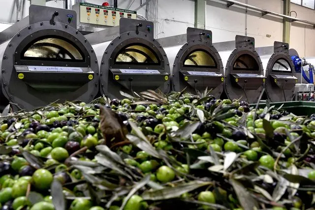 ελαιόκαρπος ψηφιακό δελτίο αποστολής