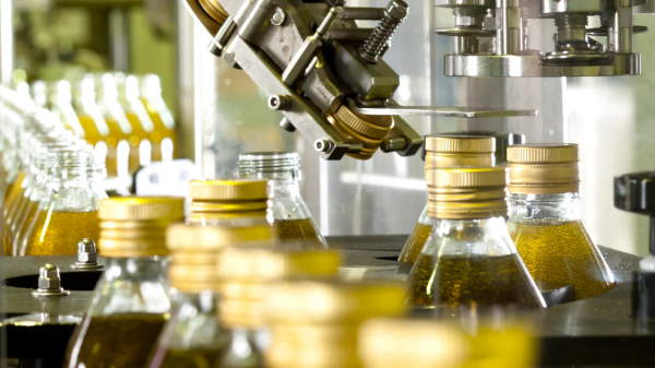 Κενά στους ελέγχους ελαιόλαδου διαπιστώνει το Ελεγκτικό της ΕΕ, δύσκολη η ιχνηλάτηση σε διασυνοριακό επίπεδο