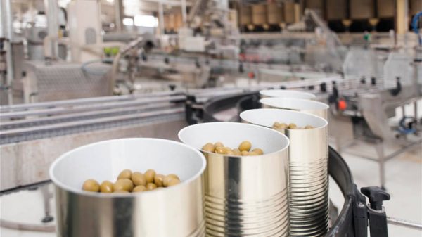 Να αρθεί άμεσα η αδικία με τις εξαγωγές ελιάς στις χώρες Mercosur αιτείται η ΔΟΕΠΕΛ