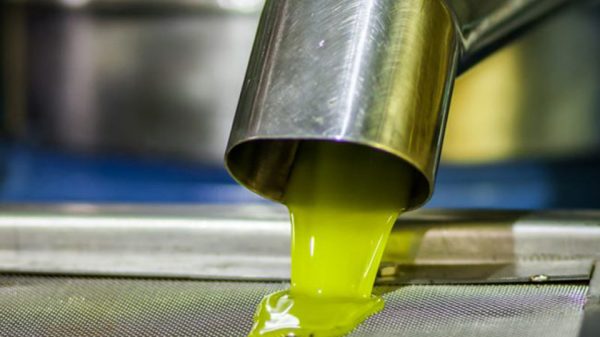 Σηκώνει κεφάλι το ελαιόλαδο στη Μεσσηνία, από 4,50 έως 5,30 οι πράξεις στην Ελλάδα