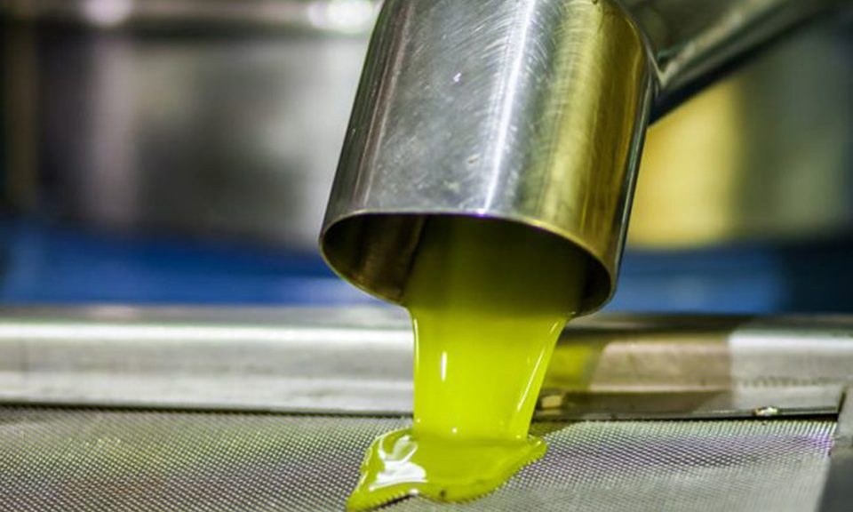 Σηκώνει κεφάλι το ελαιόλαδο στη Μεσσηνία, από 4,50 έως 5,30 οι πράξεις στην Ελλάδα