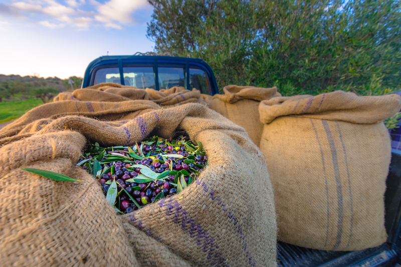ελαιοκομικό μητρώο