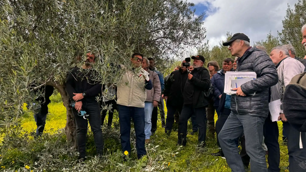 Επενδύει στην κατάρτιση των ελαιοπαραγωγών η Περιφέρεια Κρήτης