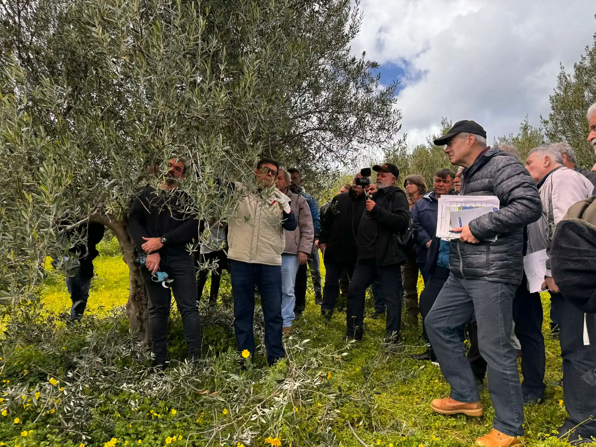 Επενδύει στην κατάρτιση των ελαιοπαραγωγών η Περιφέρεια Κρήτης