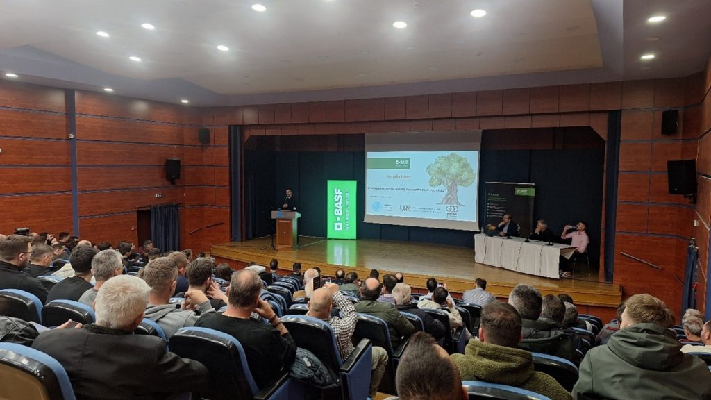 Απαραίτητη η συνεργασία για το βιώσιμο μέλλον της ελληνικής ελιάς