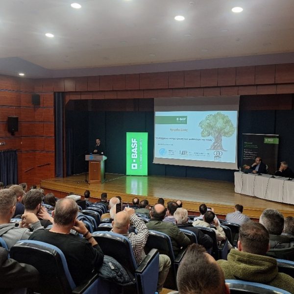 Απαραίτητη η συνεργασία για το βιώσιμο μέλλον της ελληνικής ελιάς