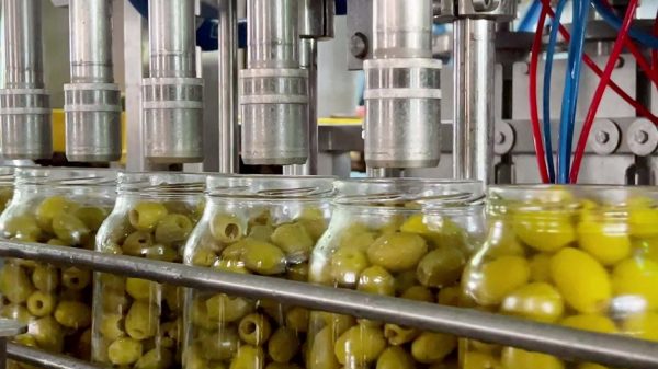 Η Ινδία θα καταργήσει πλήρως τους δασμούς έως και 36% στις επιτραπέζιες ελιές είτε κατά την έναρξη ισχύος είτε μετά από μεταβατική περίοδο επτά ετών ανάλογα με τη συγκεκριμένη δασμολογική κλάση.