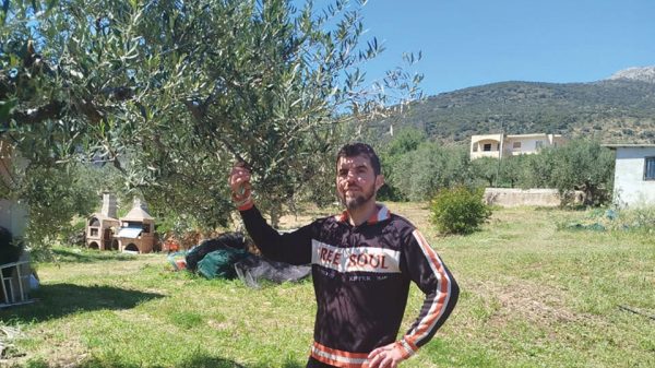 Έμφαση στο βιολογικό ελαιόλαδο και την εξωστρέφεια για την Stamatakos Olive Grove