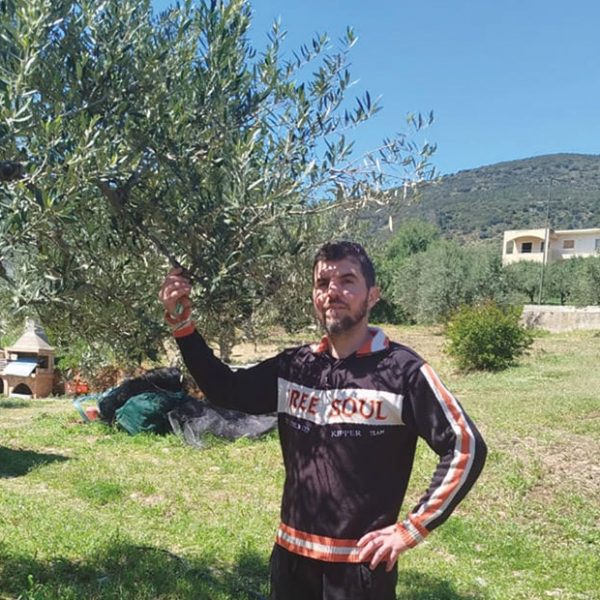 Έμφαση στο βιολογικό ελαιόλαδο και την εξωστρέφεια για την Stamatakos Olive Grove