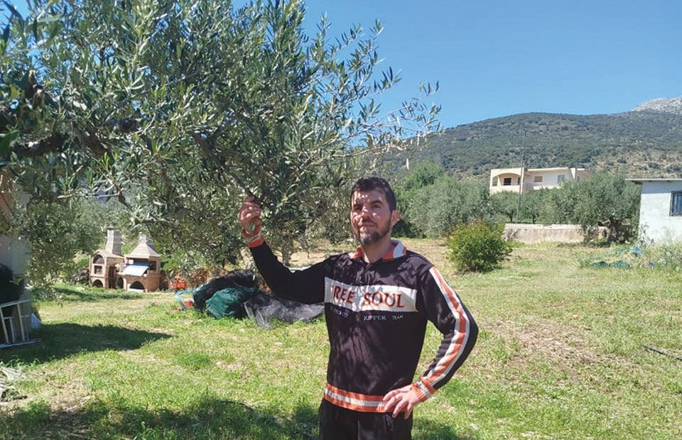 Έμφαση στο βιολογικό ελαιόλαδο και την εξωστρέφεια για την Stamatakos Olive Grove