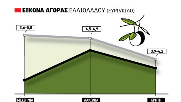 Έσπασε την απραξία για το ελληνικό ελαιόλαδο πώληση στα 5 ευρώ στη Μεσσηνία