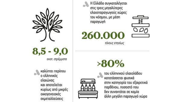 Το χτίσιμο μιας μοναδικής ταυτότητας είναι η μεγάλη στρατηγική επιλογή για υπεραξία στο ελαιόλαδο