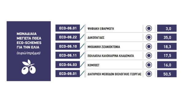 Επανέρχονται δυναμικά στις επιδοτήσεις των eco-schemes, οι ελιές, περιθώριο για ενίσχυση ως 66 ευρώ το στρέμμα