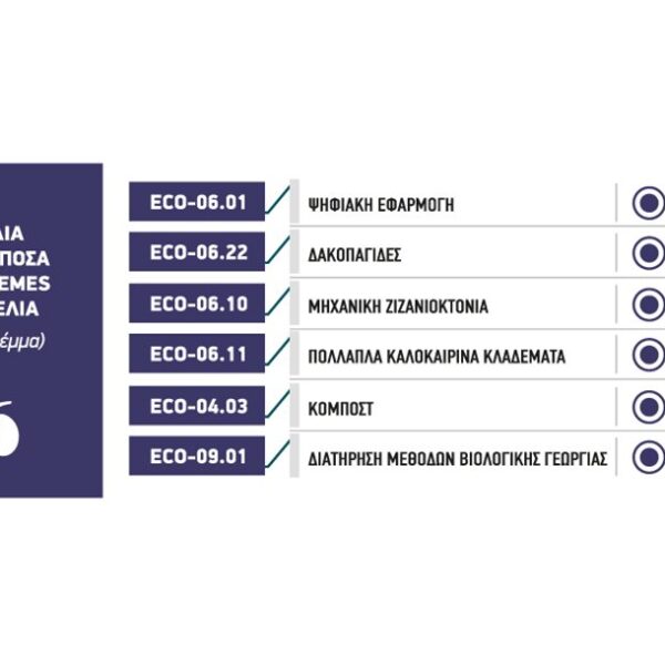 Επανέρχονται δυναμικά στις επιδοτήσεις των eco-schemes, οι ελιές, περιθώριο για ενίσχυση ως 66 ευρώ το στρέμμα
