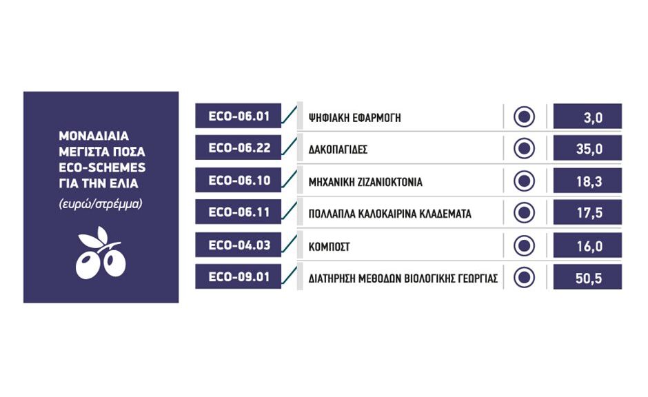 Επανέρχονται δυναμικά στις επιδοτήσεις των eco-schemes, οι ελιές, περιθώριο για ενίσχυση ως 66 ευρώ το στρέμμα