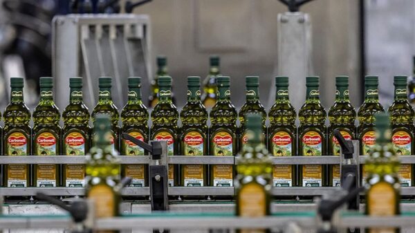 Είσοδο της αγοράς ελαιολάδου σε νέα φάση βλέπει η Deoleo