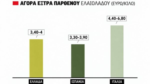 Αύξηση της κινητικότητας στην αγορά ελαιολάδου, έως τα 4 ευρώ οι τιμές, καλή η εικόνα της νέας παραγωγής