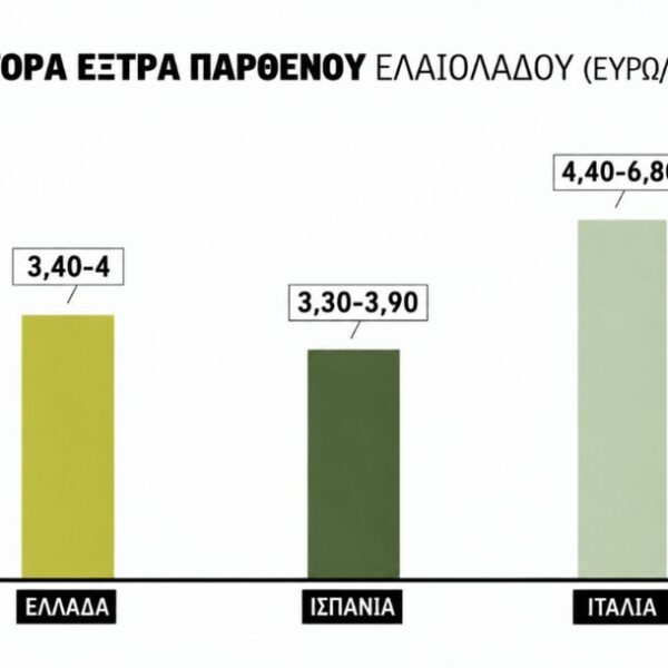 Αύξηση της κινητικότητας στην αγορά ελαιολάδου, έως τα 4 ευρώ οι τιμές, καλή η εικόνα της νέας παραγωγής