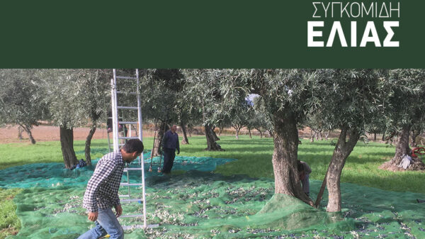 Εξοπλισμός συγκομιδής 200 κιλών ελαιοκάρπου ανά ώρα με επιδότηση επένδυσης