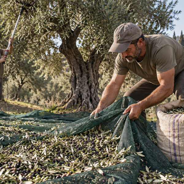 25 χρόνια η HELLAGRO βρίσκεται δίπλα στις πραγματικές ανάγκες της αγροτικής παραγωγής