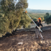 Τη λύση για κάθε ανάγκη συγκομιδής προσφέρουν τα Ελαιοραβδιστικά STIHL