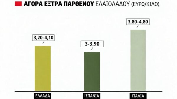 Εντείνεται η ανησυχία για τις φετινές τιμές του ελαιολάδου, στα 4,10 ευρώ πράξη για αγουρέλαιο Λακωνία