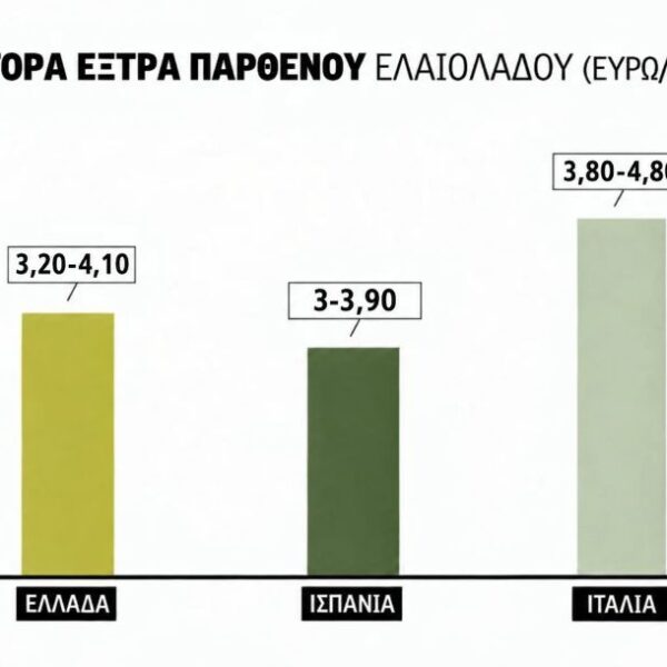 Εντείνεται η ανησυχία για τις φετινές τιμές του ελαιολάδου, στα 4,10 ευρώ πράξη για αγουρέλαιο Λακωνία